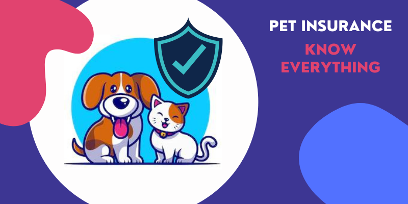 Advantages of Pet insurance: Features, Coverage and Benefits of Pet (Dog or  Cat) Insurance, India