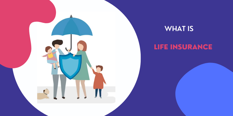Life Insurance Policy - Check Life Insurance Meaning, Features & Types