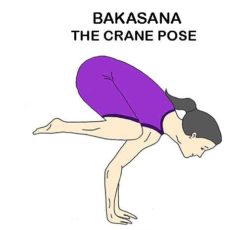 Bakasana Yoga Asana