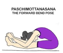 Paschimottanasana Yoga Asana