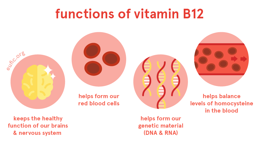 what does injectable b12 do Feeling Tired All the Time? It Might Be a Vitamin Deficiency Vitamin B12 Benefits